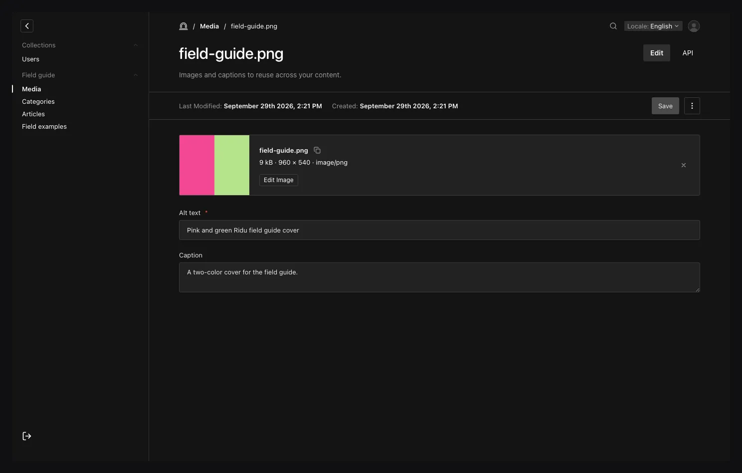 A Ridu Media document editor showing the image preview, file metadata, Edit Image action, alt text, and caption.